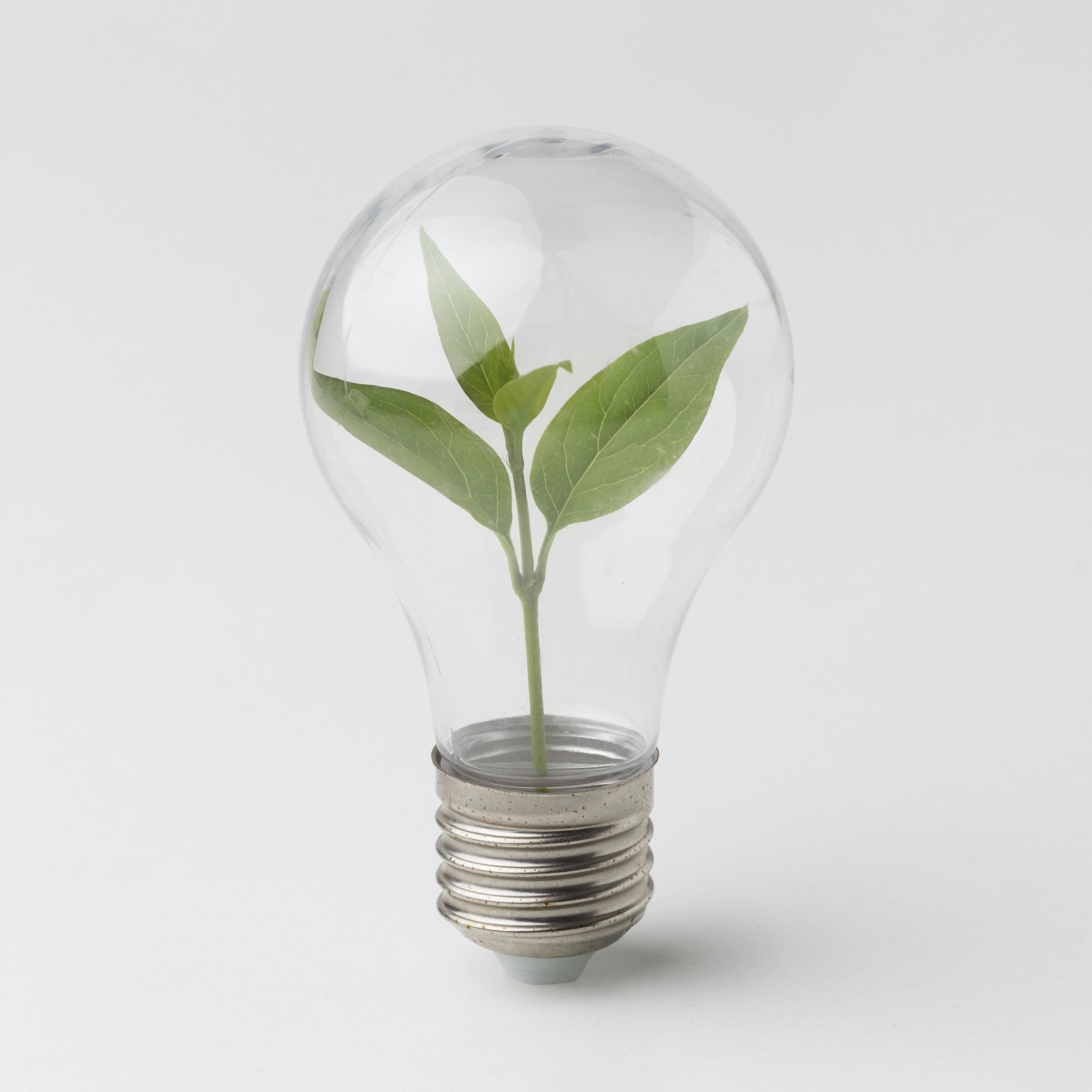 Illuminazione sostenibile: efficienza energetica e tecnologie LED